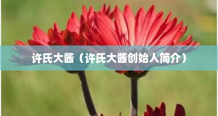 许氏大酱（许氏大酱创始人简介）
