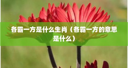 各霸一方是什么生肖（各霸一方的意思是什么）