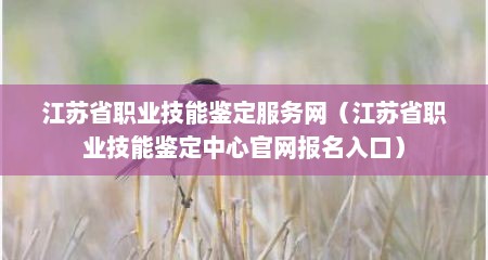 江苏省职业技能鉴定服务网（江苏省职业技能鉴定中心官网报名入口）