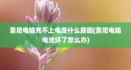 索尼电脑充不上电是什么原因(索尼电脑电池坏了怎么办)