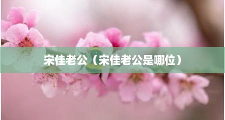 宋佳老公（宋佳老公是哪位）