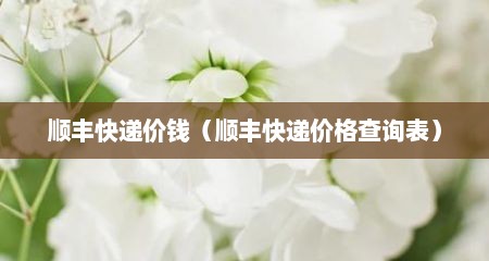 顺丰快递价钱（顺丰快递价格查询表）