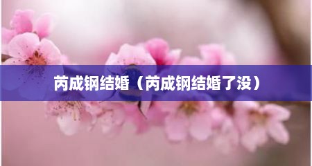 芮成钢结婚（芮成钢结婚了没）