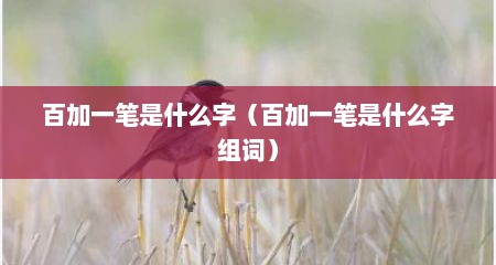 百加一笔是什么字（百加一笔是什么字组词）