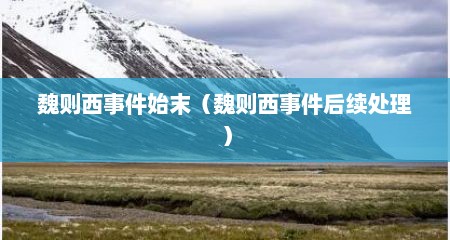 魏则西事件始末（魏则西事件后续处理）