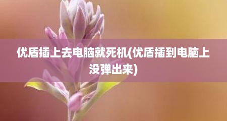 优盾插上去电脑就死机(优盾插到电脑上没弹出来)