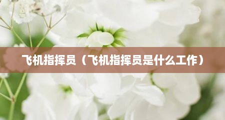 飞机指挥员（飞机指挥员是什么工作）