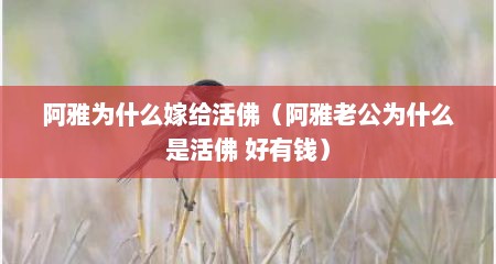 阿雅为什么嫁给活佛（阿雅老公为什么是活佛 好有钱）