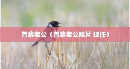 曾黎老公（曾黎老公照片 现任）
