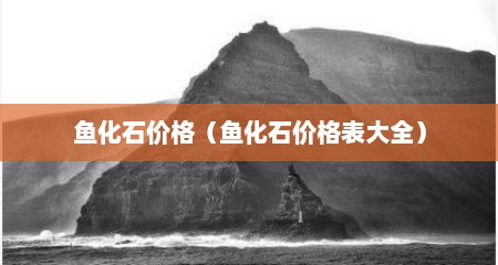 鱼化石价格（鱼化石价格表大全）