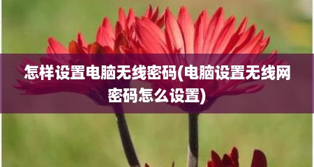怎样设置电脑无线密码(电脑设置无线网密码怎么设置)