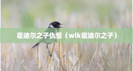 霍迪尔之子仇恨（wlk霍迪尔之子）