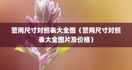 警用尺寸对照表大全图（警用尺寸对照表大全图片及价格）