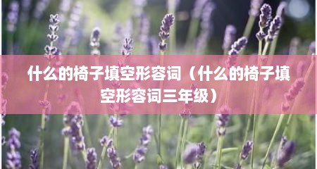 什么的椅子填空形容词（什么的椅子填空形容词三年级）