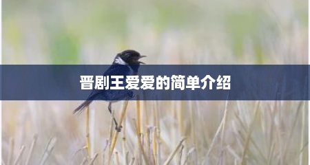 晋剧王爱爱的简单介绍