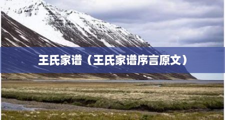 王氏家谱（王氏家谱序言原文）