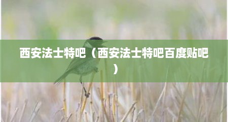西安法士特吧（西安法士特吧百度贴吧）