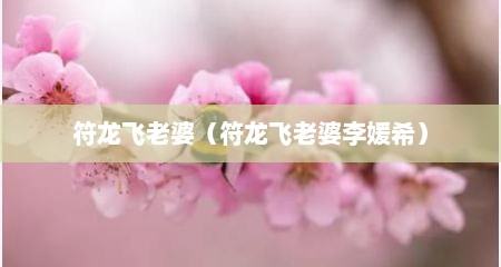 符龙飞老婆（符龙飞老婆李媛希）