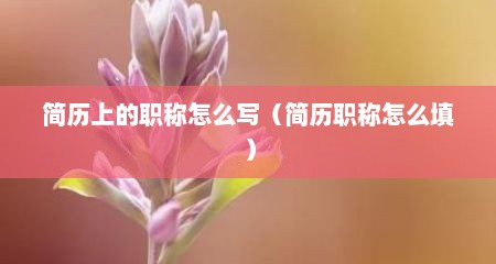 简历上的职称怎么写（简历职称怎么填）