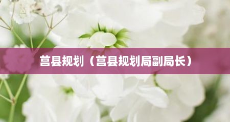 莒县规划（莒县规划局副局长）
