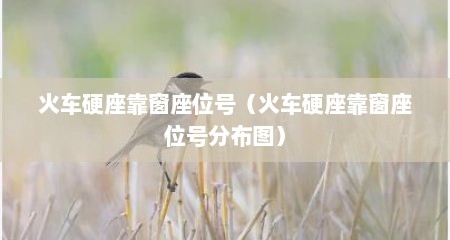 火车硬座靠窗座位号（火车硬座靠窗座位号分布图）
