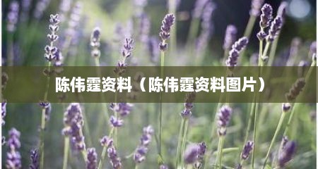 陈伟霆资料（陈伟霆资料图片）