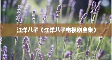 江洋八子（江洋八子电视剧全集）