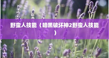 野蛮人技能（暗黑破坏神2野蛮人技能）