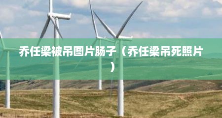 乔任梁被吊图片肠子（乔任梁吊死照片）