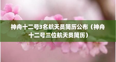 神舟十二号3名航天员简历公布（神舟十二号三位航天员简历）