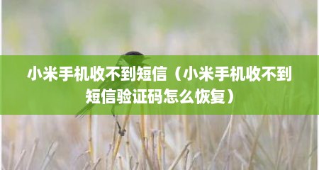 小米手机收不到短信（小米手机收不到短信验证码怎么恢复）