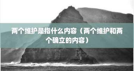 两个维护是指什么内容（两个维护和两个确立的内容）