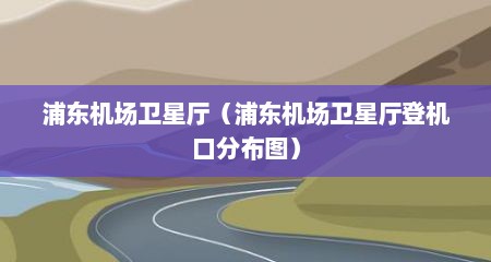 浦东机场卫星厅（浦东机场卫星厅登机口分布图）
