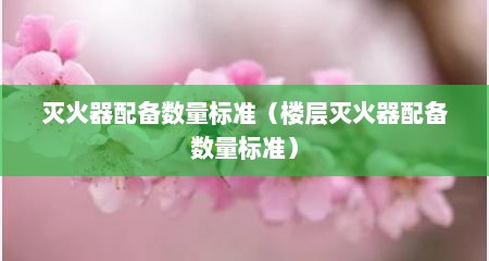 灭火器配备数量标准（楼层灭火器配备数量标准）
