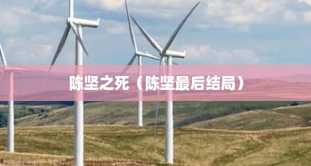 陈坚之死（陈坚最后结局）