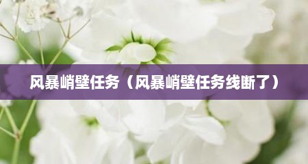 风暴峭壁任务（风暴峭壁任务线断了）