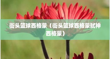 街头篮球西格蒙（街头篮球西格蒙弑神西格蒙）