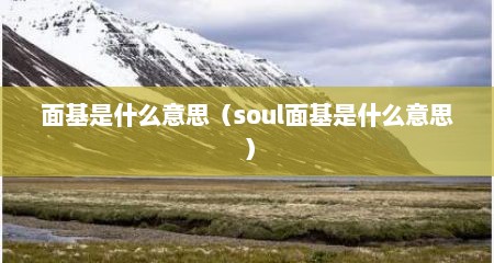 面基是什么意思（soul面基是什么意思）
