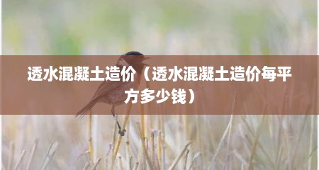 透水混凝土造价（透水混凝土造价每平方多少钱）