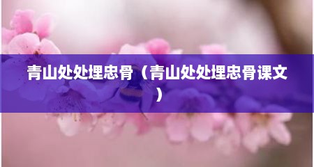 青山处处埋忠骨（青山处处埋忠骨课文）