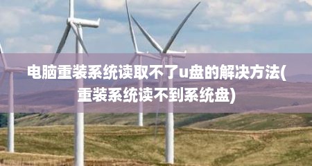 电脑重装系统读取不了u盘的解决方法(重装系统读不到系统盘)