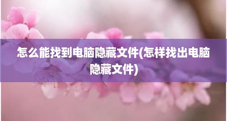 怎么能找到电脑隐藏文件(怎样找出电脑隐藏文件)