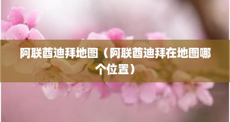 阿联酋迪拜地图（阿联酋迪拜在地图哪个位置）