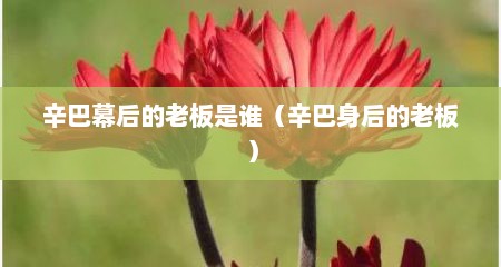 辛巴幕后的老板是谁（辛巴身后的老板）