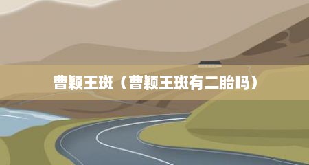 曹颖王斑（曹颖王斑有二胎吗）