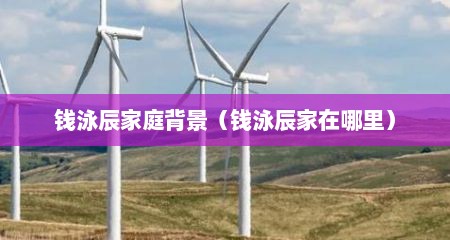 钱泳辰家庭背景（钱泳辰家在哪里）