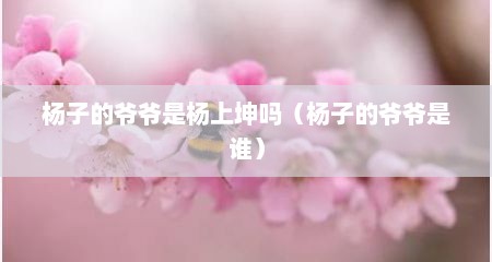 杨子的爷爷是杨上坤吗（杨子的爷爷是谁）