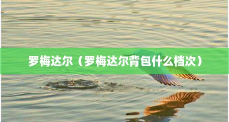 罗梅达尔（罗梅达尔背包什么档次）