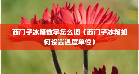 西门子冰箱数字怎么调（西门子冰箱如何设置温度单位）