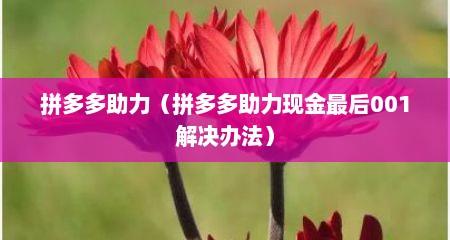 拼多多助力（拼多多助力现金最后001解决办法）